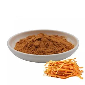 Can Cordyceps Militaris Powder help with fatigue or chronic fatigue syndrome?